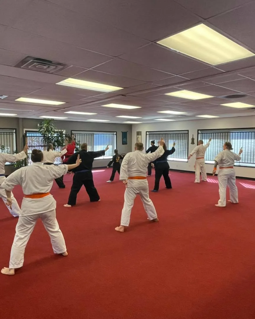 UNITED STUDIOS OF SELF DEFENSE academy photo