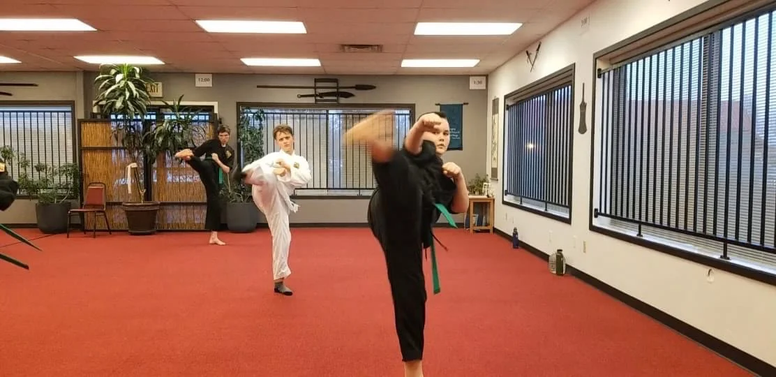 UNITED STUDIOS OF SELF DEFENSE academy photo