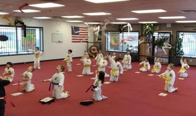 UNITED STUDIOS OF SELF DEFENSE academy photo