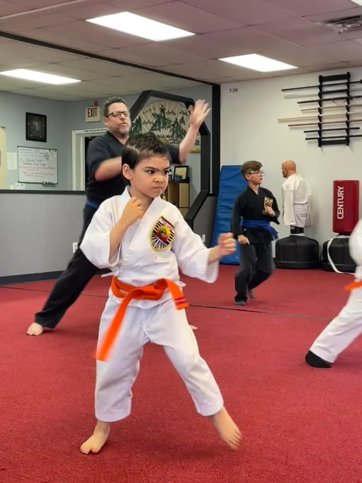 UNITED STUDIOS OF SELF DEFENSE academy photo