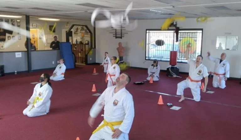 UNITED STUDIOS OF SELF DEFENSE academy photo