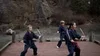 Warhorse Martial Arts academy photo