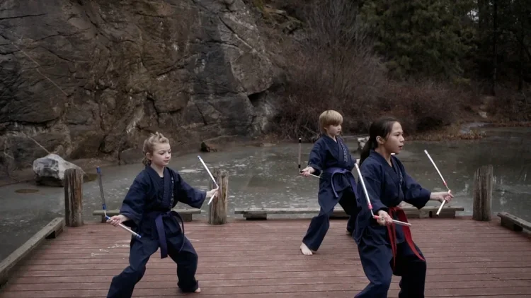 Warhorse Martial Arts academy photo