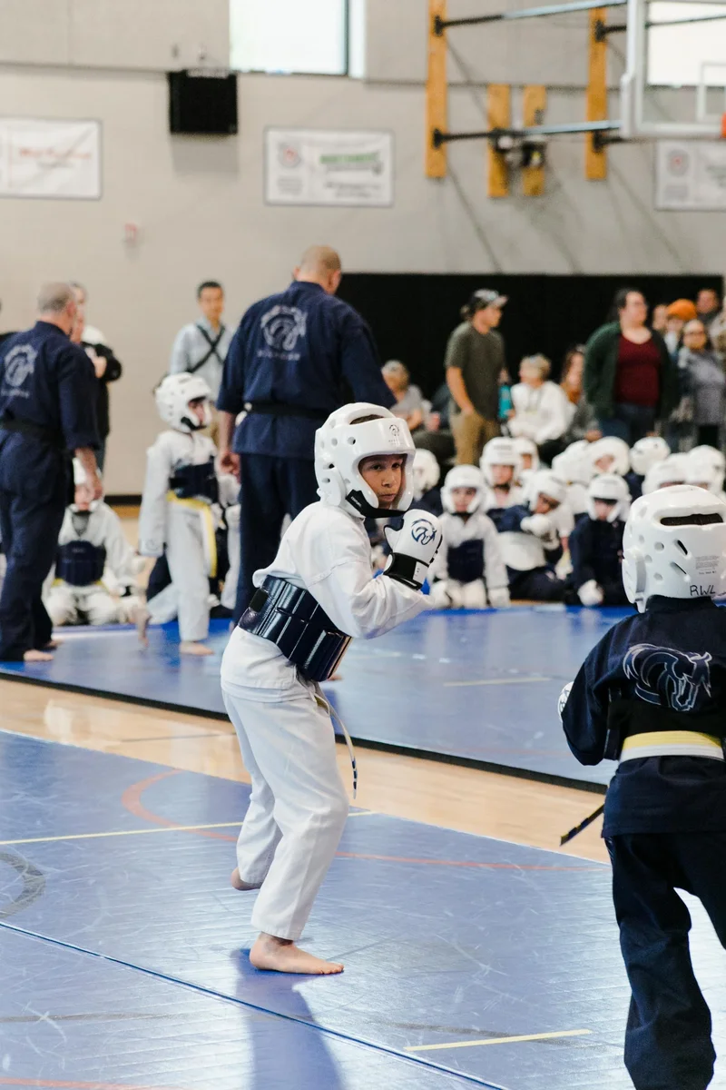 Warhorse Martial Arts academy photo