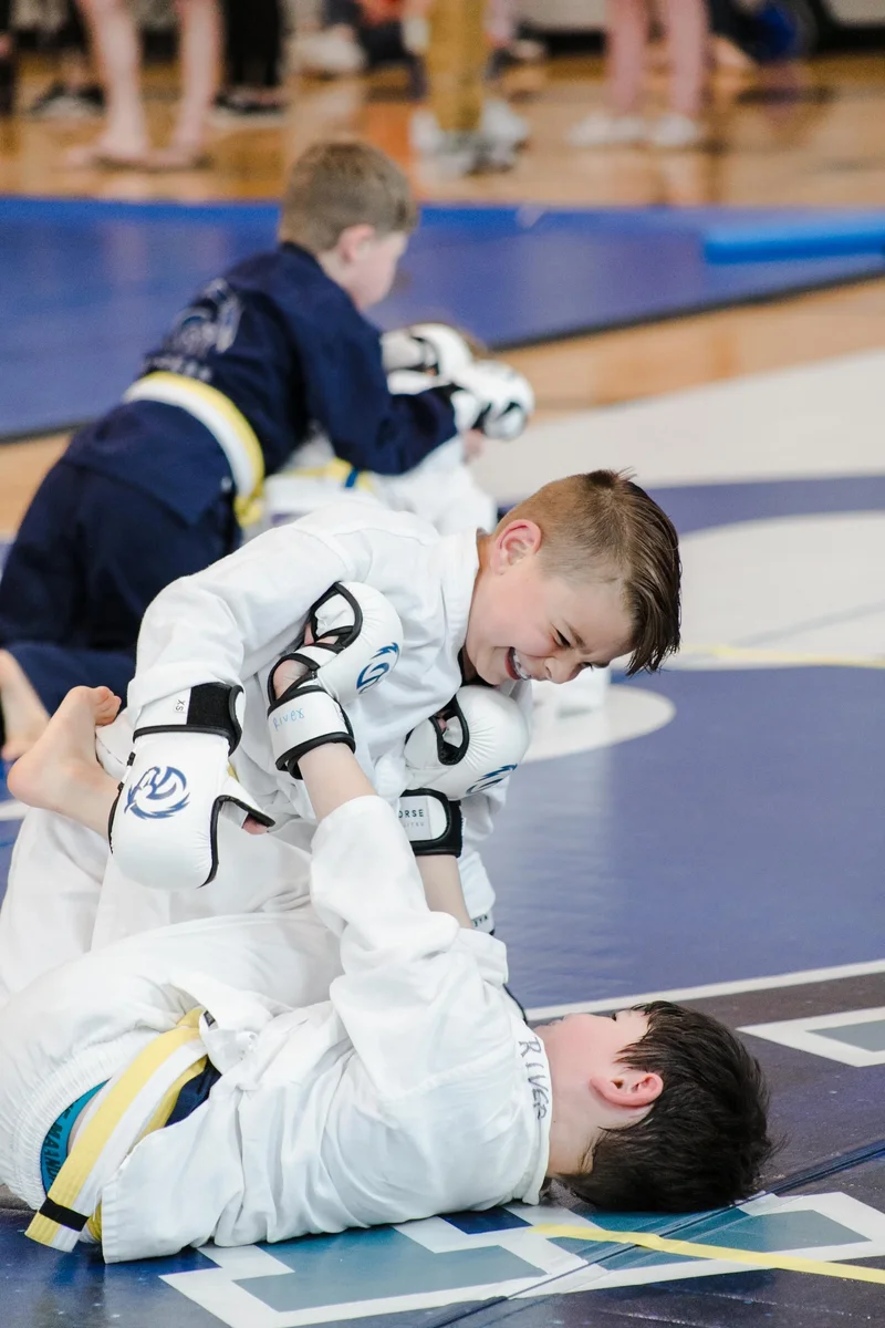 Warhorse Martial Arts visual