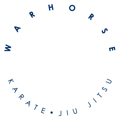 Warhorse Martial Arts academy photo