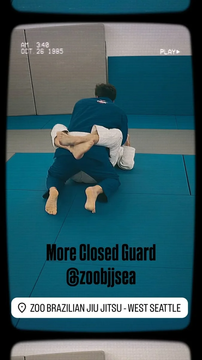 Zoo Brazilian Jiu Jitsu - West Seattle academy photo