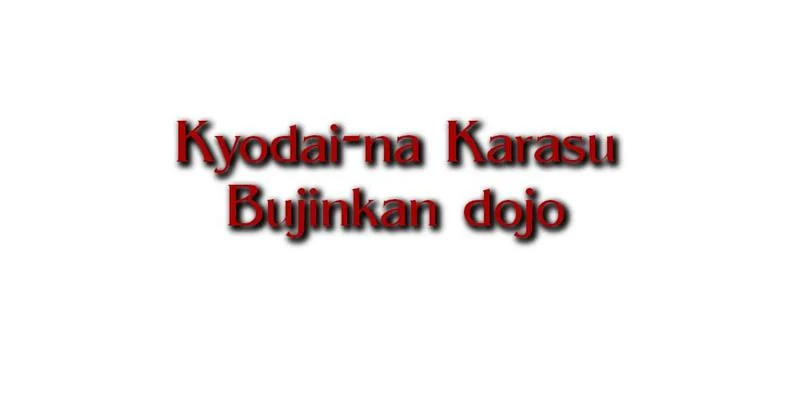 Bujinkan Dojo Wisconsin (Bujinkan Buyu Dojo USA) facility image