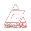 Caliber Martial Arts facility image