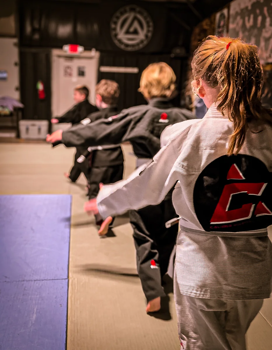 Caliber Martial Arts facility image