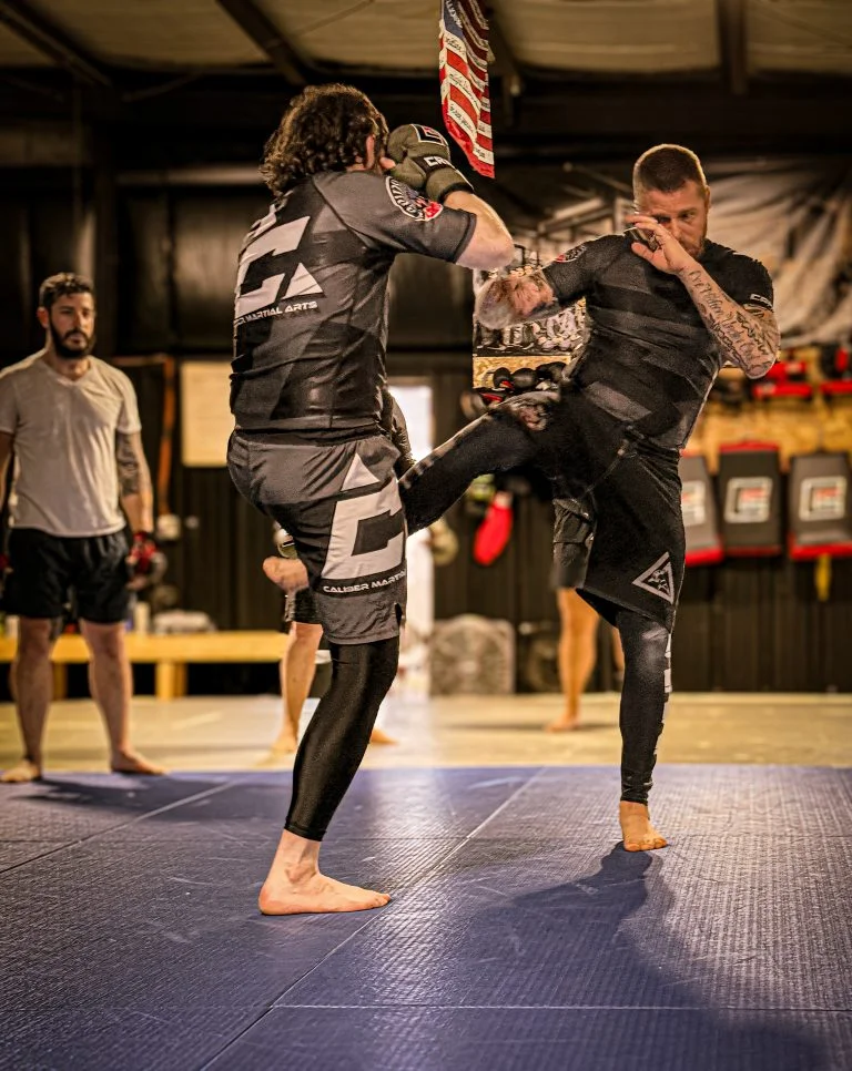 Caliber Martial Arts facility image