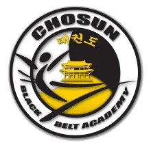 Chosun Black Belt Academy Franklin visual
