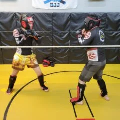 Flashback Martial Arts facility image