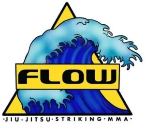 Flow Jiu Jitsu of La Crosse facility image