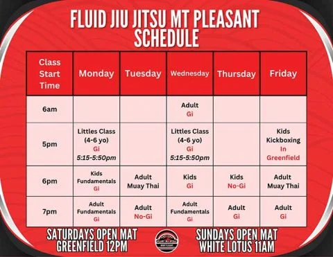 Fluid Jiu Jitsu Mount Pleasant facility image