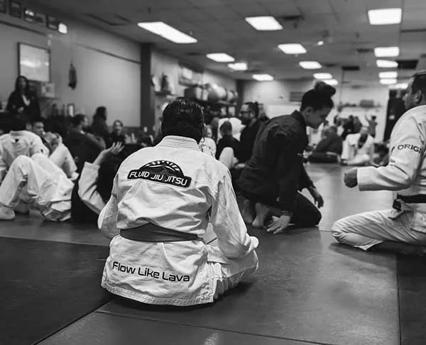 Fluid Jiu Jitsu Mount Pleasant facility image