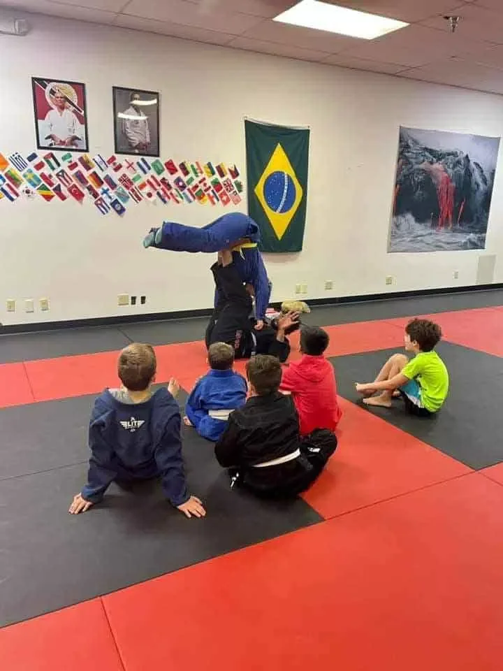 Fluid Jiu Jitsu Mount Pleasant facility image