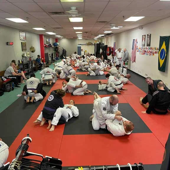 Fluid Jiu Jitsu academy photo