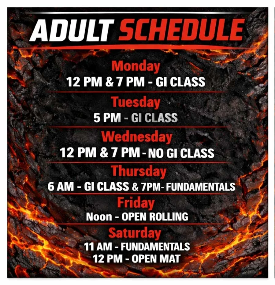 Fluid Jiu Jitsu academy photo