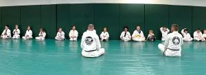 Gracie Jiu-Jitsu Shawano visual