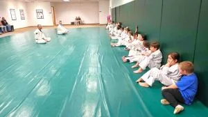 Gracie Jiu-Jitsu Shawano academy photo