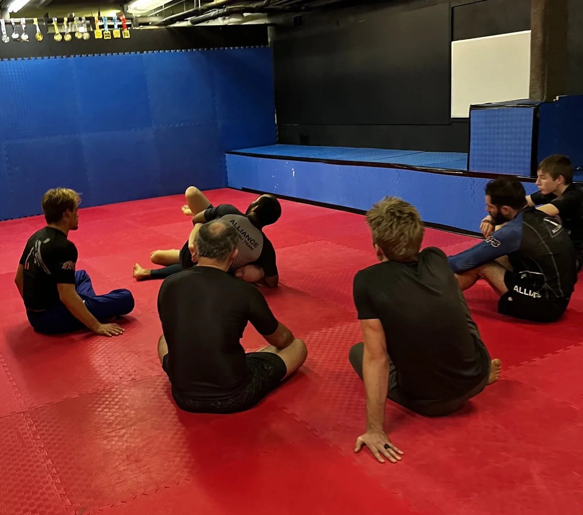 La Crosse American Jiu Jitsu academy photo