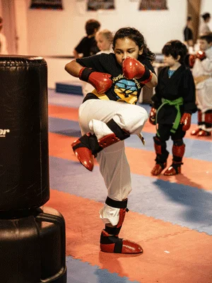 Martial Arts America academy photo