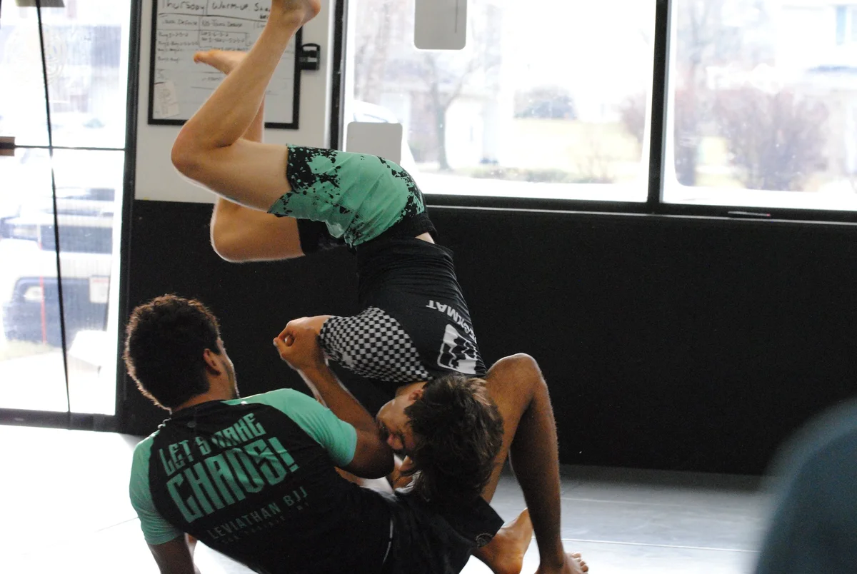Nibiru Brazilian Jiu-Jitsu academy photo
