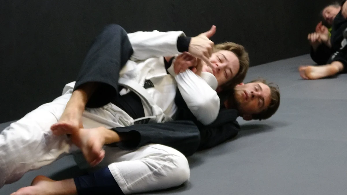 Nibiru Brazilian Jiu-Jitsu academy photo