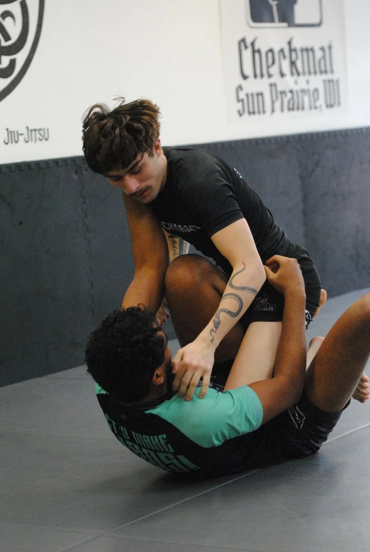 Nibiru Brazilian Jiu-Jitsu academy photo