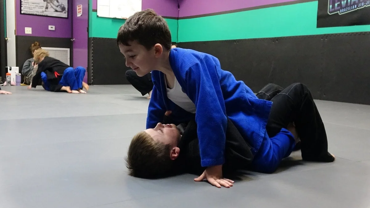Nibiru Brazilian Jiu-Jitsu academy photo