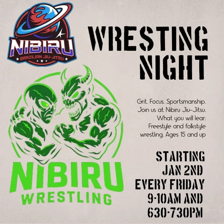 Nibiru Brazilian Jiu-Jitsu academy photo