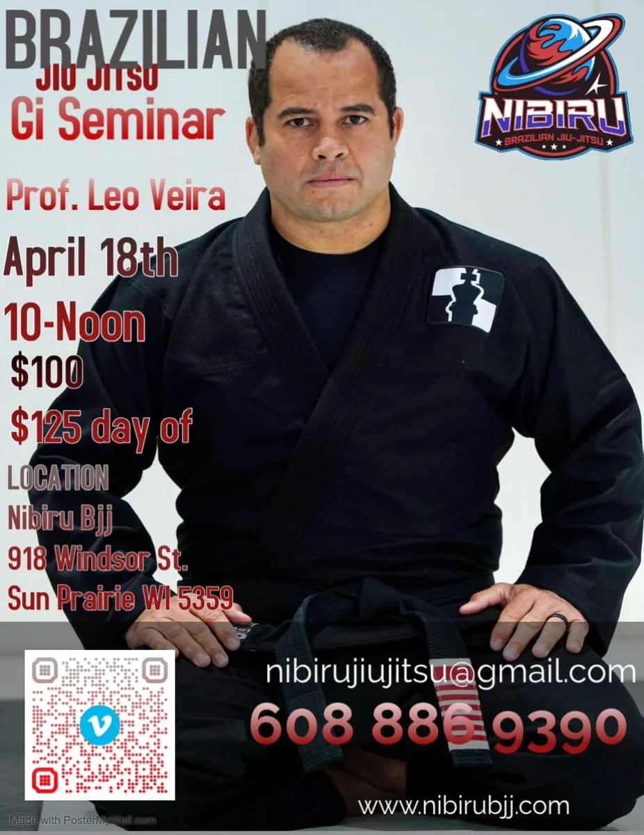Nibiru Brazilian Jiu-Jitsu academy photo