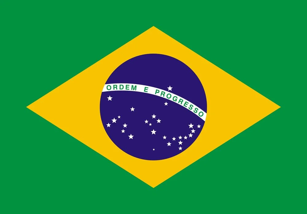 Nibiru Brazilian Jiu-Jitsu academy photo
