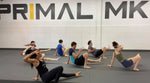 Primal MKE - MMA Gym & Fitness academy photo