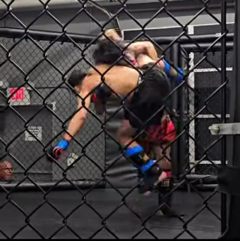 Red Wing Muay Thai & MMA visual