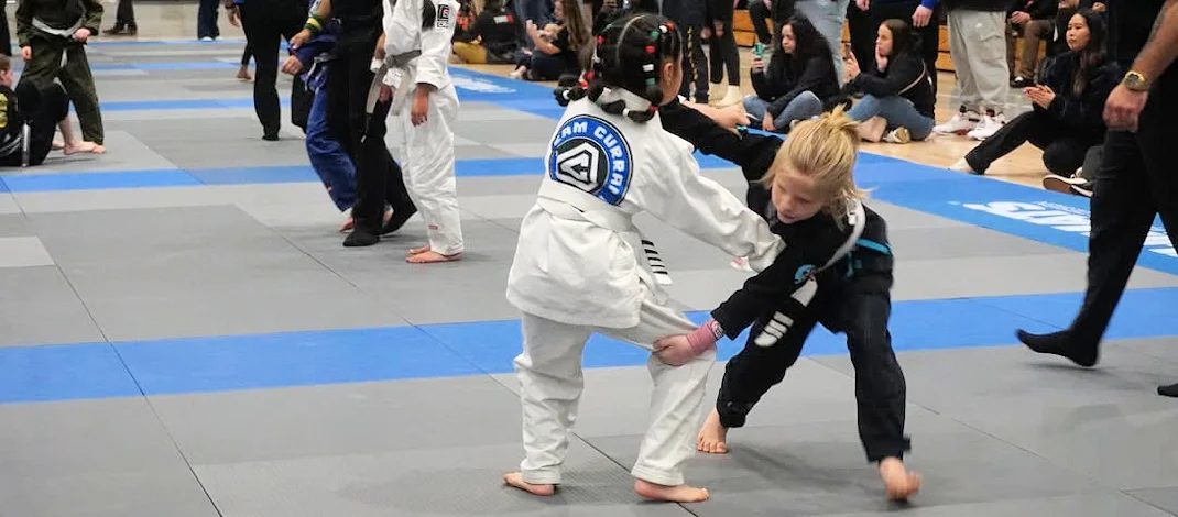 Silverback Brazilian Jiu-Jitsu Academy facility image