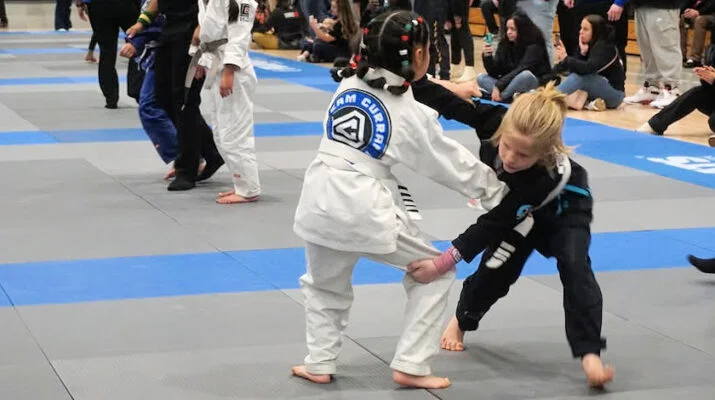 Silverback Brazilian Jiu-Jitsu Academy facility image