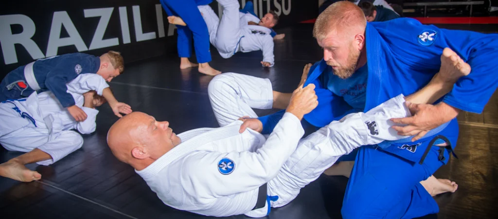 Silverback Brazilian Jiu-Jitsu Academy facility image