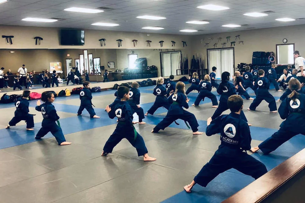 THE ACADEMY of Martial Arts Leadership facility image