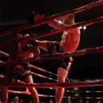 Wanderley Jiu Jitsu & MMA facility image