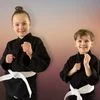 Zimmerman's Freestyle Martial Arts academy logo