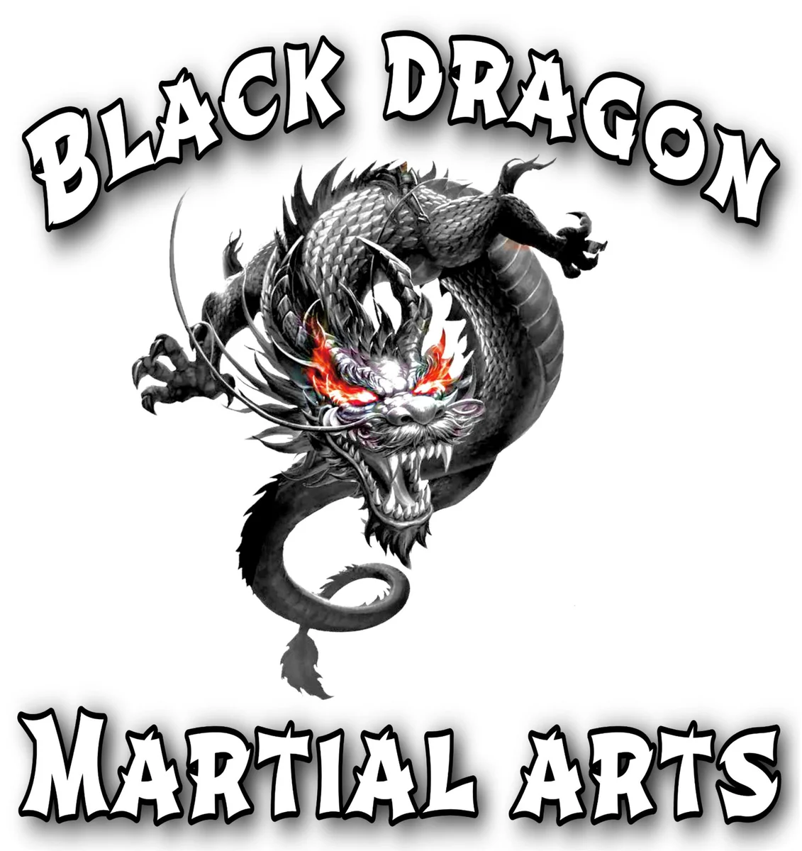 Black Dragon Martial Arts academy logo