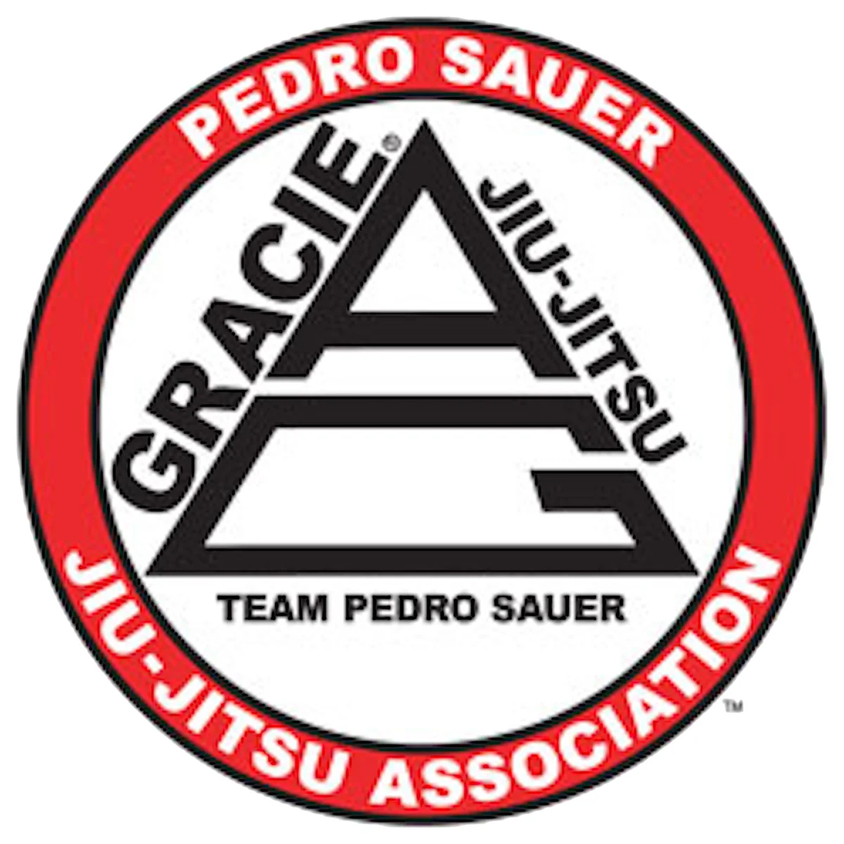 Parkersburg Martial Arts Center academy logo