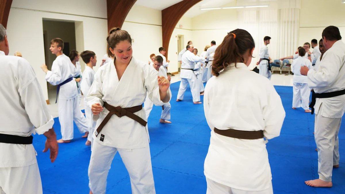 Shoshin Kai Martial Arts facility image