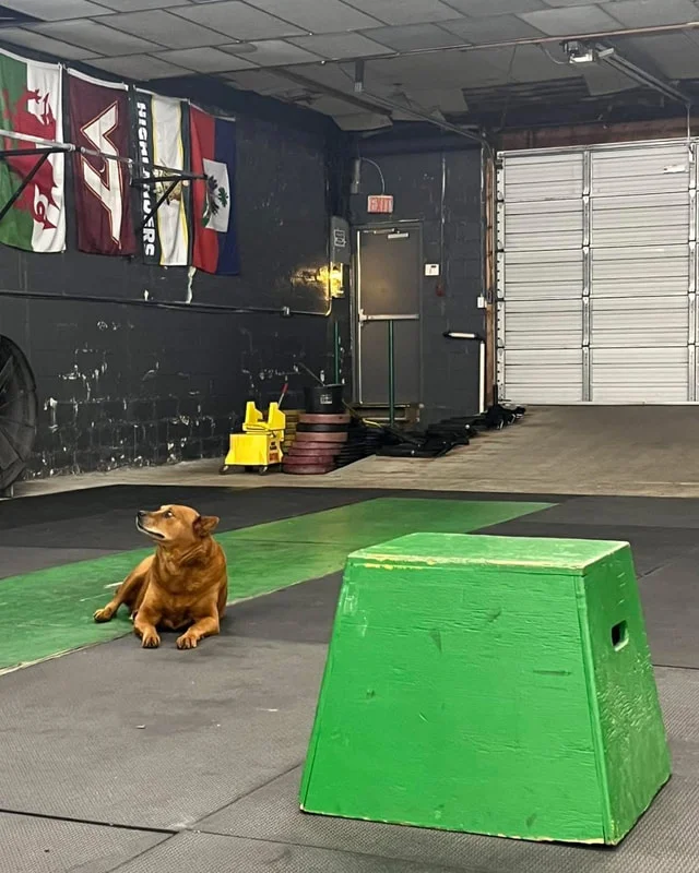 Thunder Athletics facility image