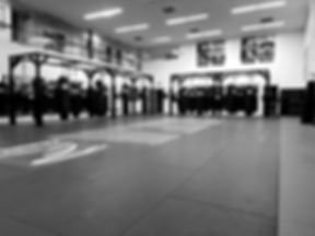 American Kickboxing Academy (AKA) facility image