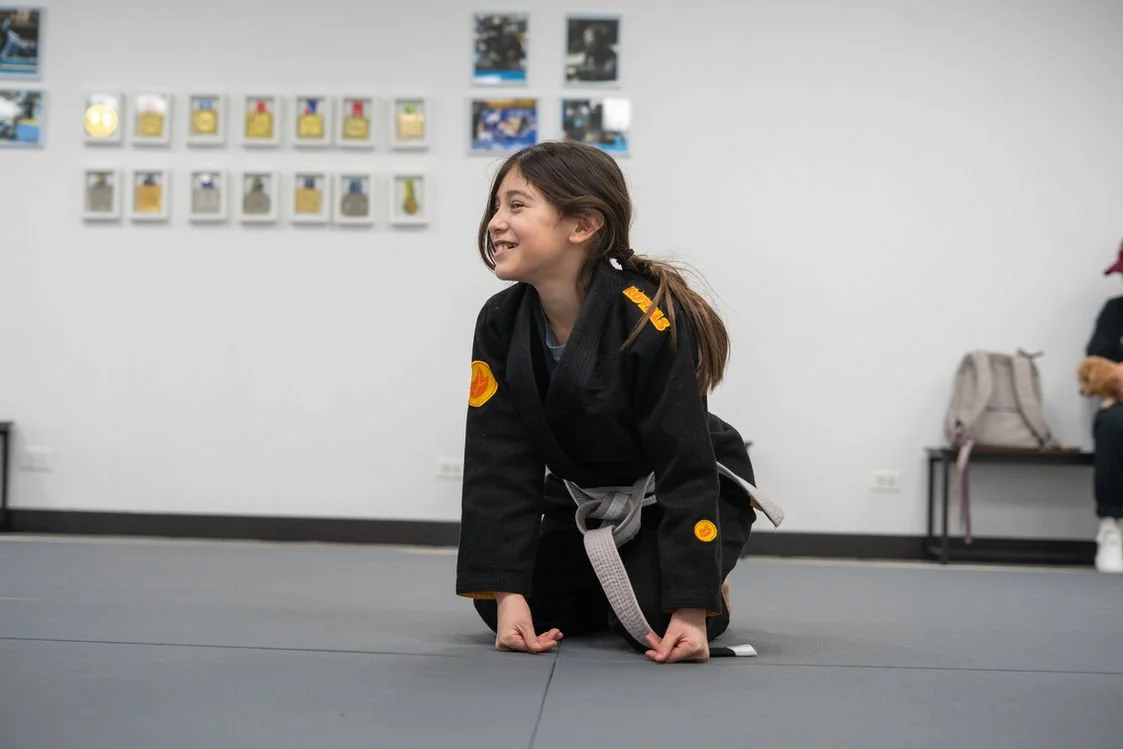 Artistic Jiu Jitsu School facility image