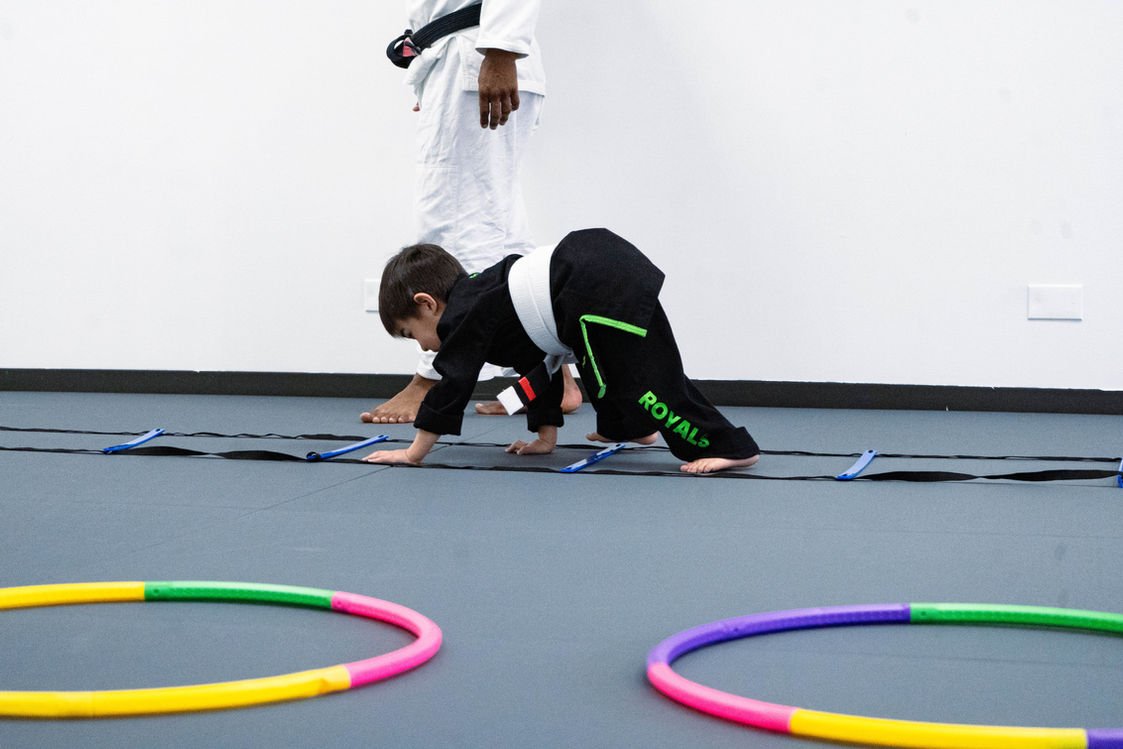 Artistic Jiu Jitsu School facility image