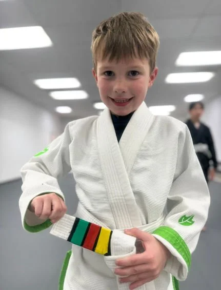 Artistic Jiu Jitsu School facility image